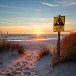 Health Advisory Excessive Bacteria Levels Prompt Beach Closures in Los Angeles County