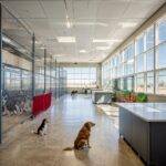 New Maricopa County Animal Care and Control Shelter Enhances Facilities in Mesa